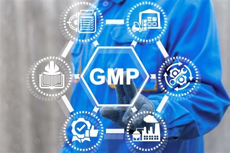 GMP .